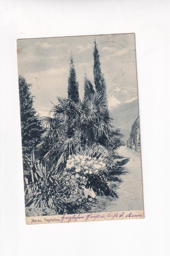 Meran vegetation - meran,