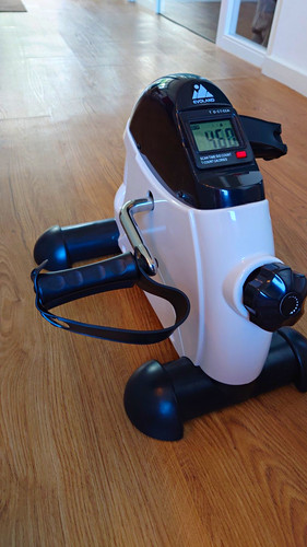Evoland pedaltrainer - evoland,