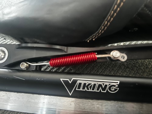 Viking broze eisschnelllauf - viking,