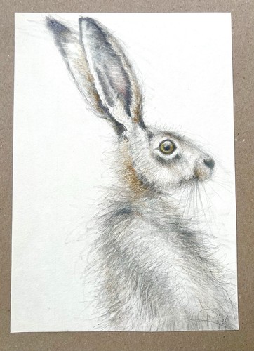 Original zeichnung hase - original,
