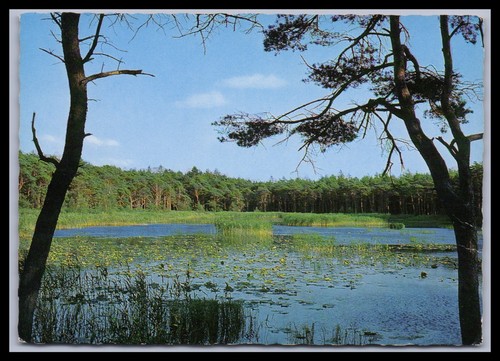 Ansichtskarte nordseeheilbad - ansichtskarte,