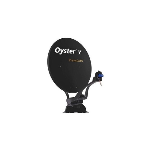 Ten haaft oyster - oyster, premium