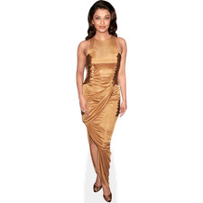 Aishwarya Rai (Gold Dress)