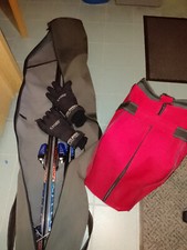 Alpine Carvingski Set