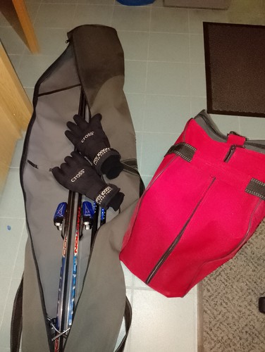 Alpine carvingski set - alpine,