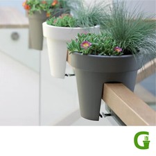 Fresh flower balcony cm - flower,