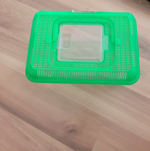 Plastik terrarium grün - plastik-terrarium,,