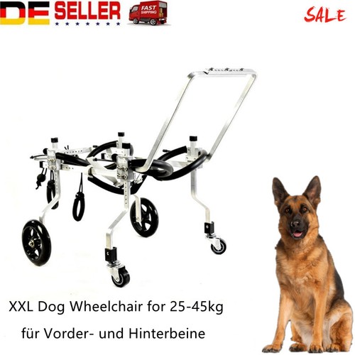 Rollstuhl für hunde - rollstuhl,