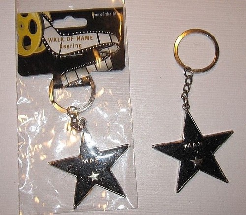 Hollywood walk fame stern - hollywood,