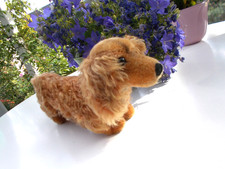 Alter STEIFF Hund "Dackel" mit Knopf im Ohr