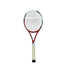 Wilson Six.One 95 BLX Pro