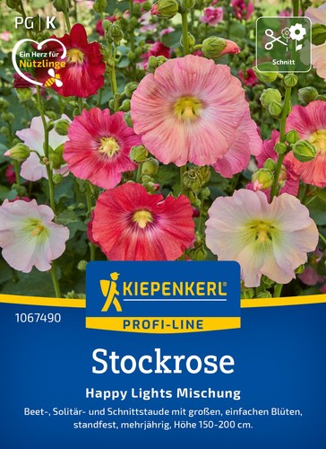 Stockrose happy lights - ",