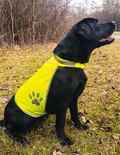 Sicherheitsweste hund - sicherheitsweste,
