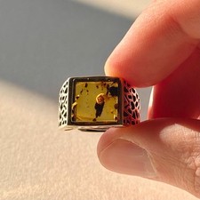 SCHNECKENHAUS in fossilem