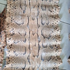 Sehr alte Schlangenhaut/Schlangenleder  Riesenschlange 370  u. 340 cm ca. 13 m