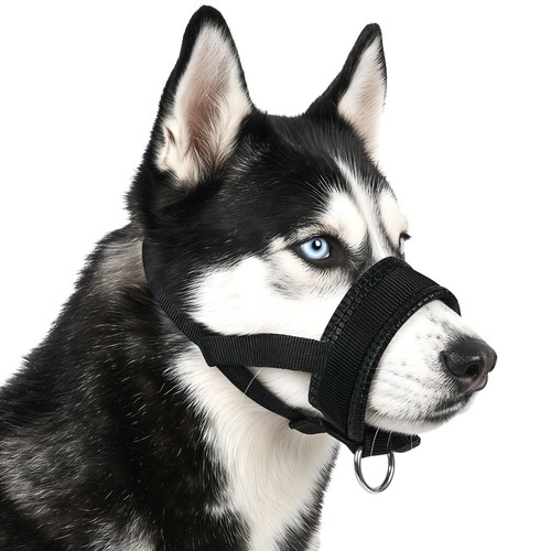 Hunde maulkorb nylon - hunde,