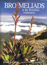 Bromeliads in the Brazilian