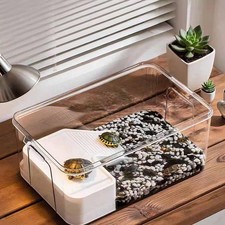 Schildkröte Tank Haustiere