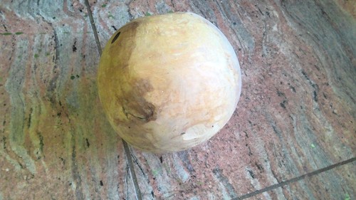 Teak teakholz kugel holz - teak,