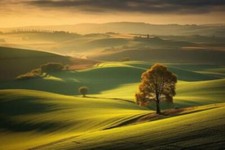 Wandbild: Wunderschöne