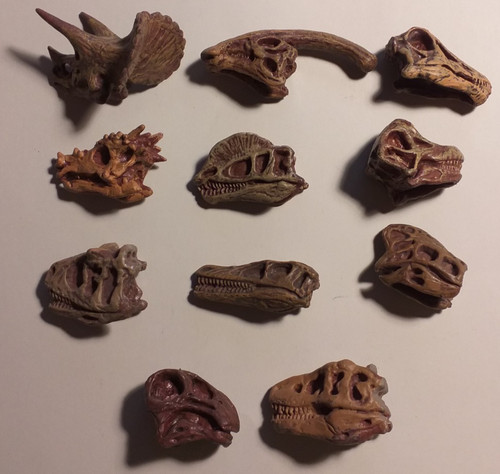 Dinosaurier schädel dino - dinosaurier-schädel,