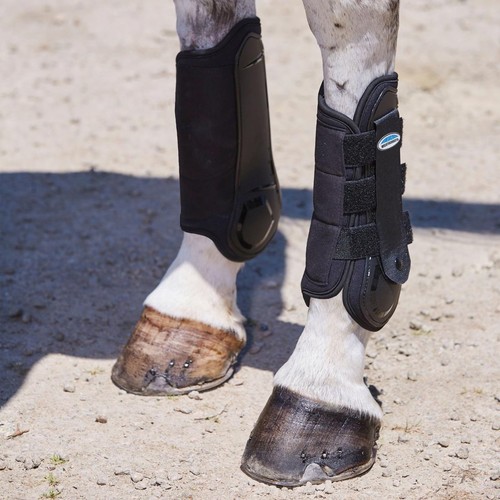 Weatherbeeta flexi shell hind - weatherbeeta,