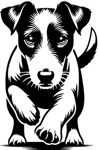 Jack russell terrier aufkleber - jack,