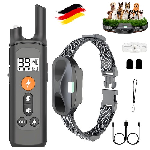 Hund ausbildung - hund,