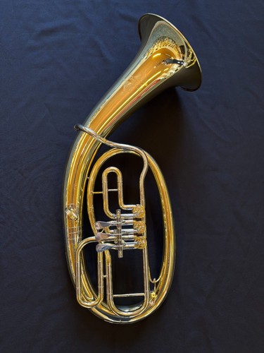 Gebrauchtes tenorhorn - gebrauchtes,