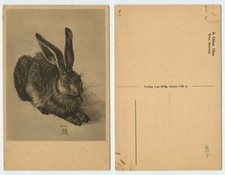 122051 - A. Dürer: Hase - alte Ansichtskarte