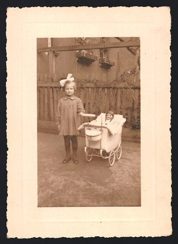 Fotografie junges kleines