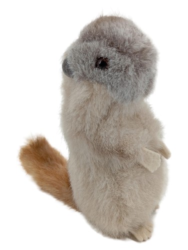 Steiff kuscheltier murmeltier - steiff,