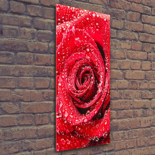 Wand bild kunstdruck aus - wand-bild,