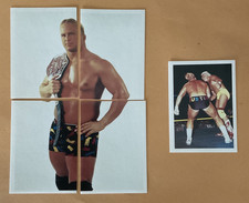 WCW WWF WWE Euroflash 1992 Stunning Steve Austin Rookie Wrestling Sticker (Karte)