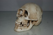 Aquarium Atemberaubend Detailliert Groß Rissige Totenkopf Deko 15 x 9 x 11 CM