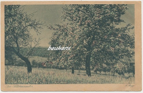 Heimatkarte - ak,