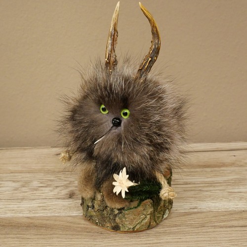 Wolpertinger wolpi präparat - wolpertinger,