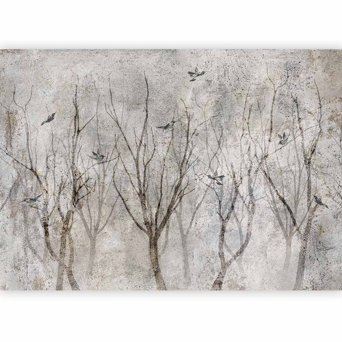 Vogel natur beton optik - vogel,