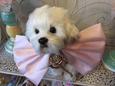 Deko Plüschtier Hund Malteser