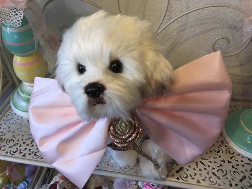 Deko plüschtier hund malteser - deko,