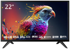 DYON Enter 22 Pro X2 55 cm (22 Inch) Full HD TV Fernseher SIEHE TEXT/FOTO