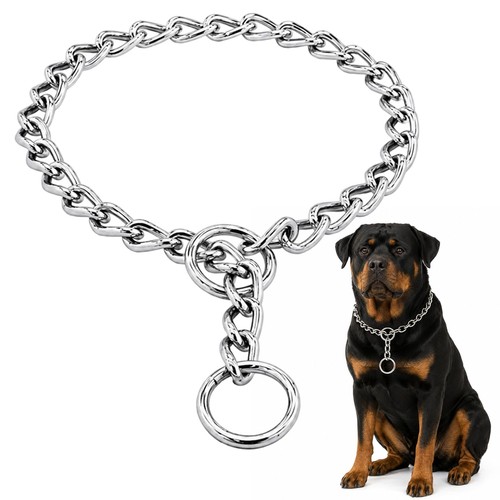 Kettenhalsband hund - kettenhalsband,