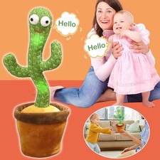 Sprechender Kaktus, Kaktus