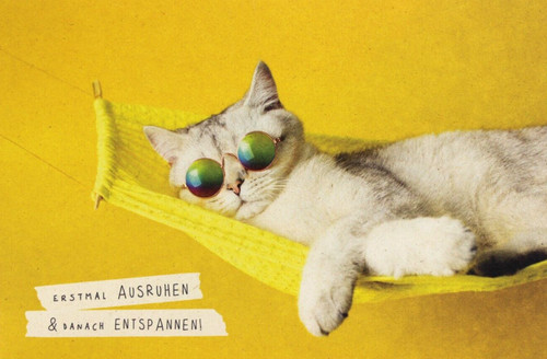 Skorpion postkarte ruhestand - postkarte,