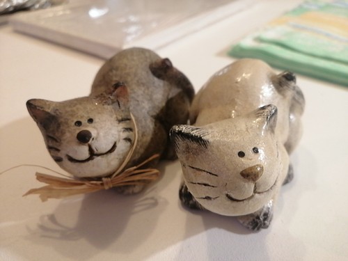 Katzen liegend hoch und - katzen,