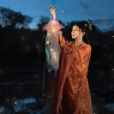 Bunte Quallenlaterne