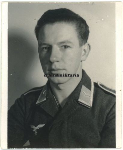 Orig foto portrait nachtjagd - foto,
