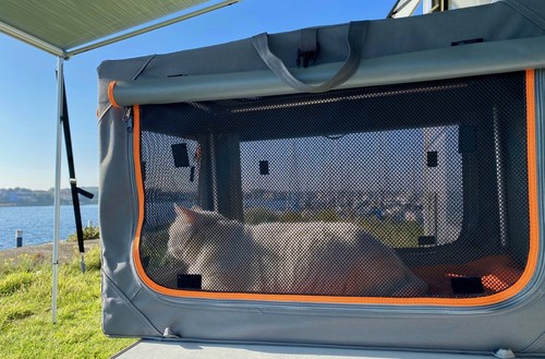 Hunde transportbox katze - hunde,