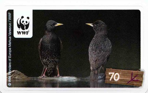 Rewe wwf tier - wwf, abenteuer