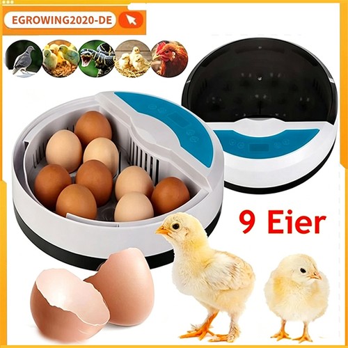 Neu eier inkubator - 9,